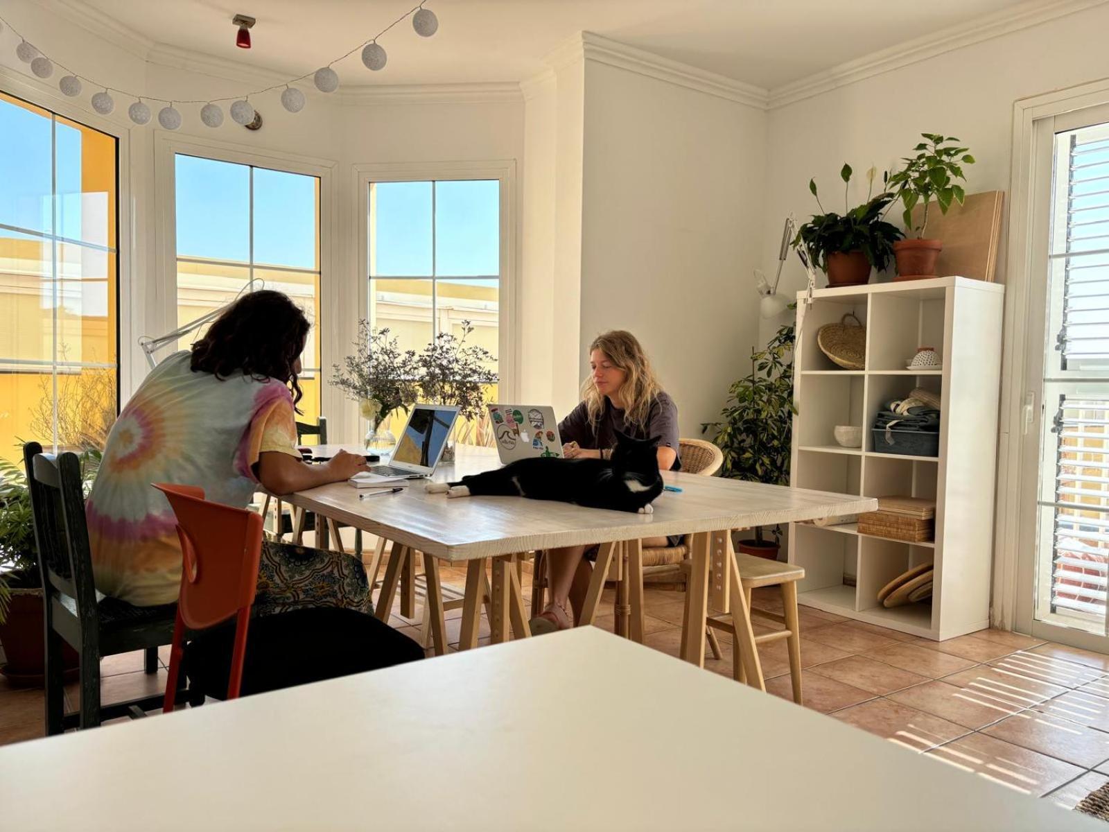 Medano Beach Coliving El Médano Dış mekan fotoğraf